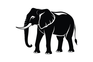 Obraz premium elephant illustration
