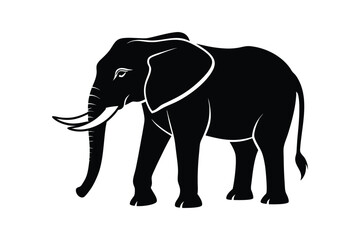 Fototapeta premium elephant isolated on white