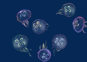 クラゲのイラスト © karenn