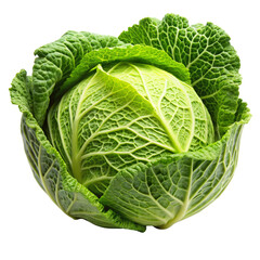 Obraz premium Cabbage on on White with Transparent Background - High-Resolution PNG Image