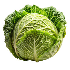 Cabbage on on White with Transparent Background - High-Resolution PNG Image