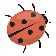 Ladybug animal illustration