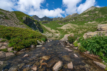View of the Dukka lake "Rybka" and the Malaya Dukka River on the slopes of the Arkasar ridge in the North Caucasus on a sunny summer day, Arkhyz, Karachay-Cherkessia, Russia © Ula Ulachka