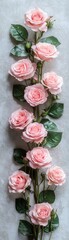 Neatly arranged row of pink roses against a soft textured backdrop overhead view with natural light highlighting the delicate beauty of the flowers