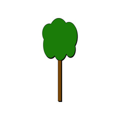 green tree isolated