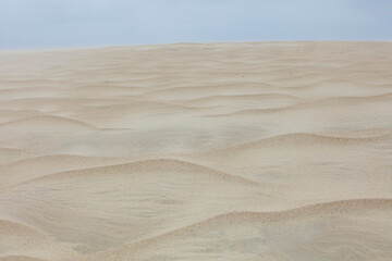 View of sand dune in Outerbanks North Carolina