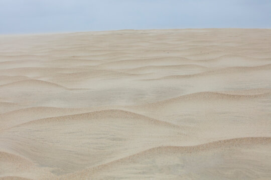 View of sand dune in Outerbanks North Carolina