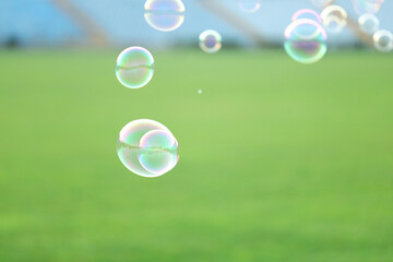 Beautiful soap bubbles floating above green grass