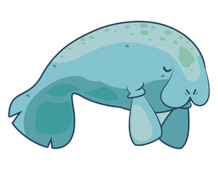 stellers sea cow extinct animal