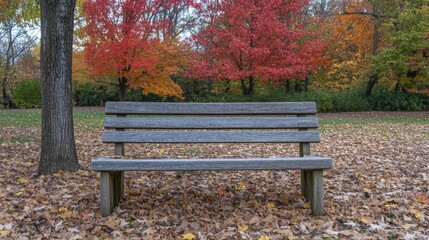 A serene wooden bench surrounded by vibrant autumn leaves and colorful trees, perfect for relaxation in nature's beauty.