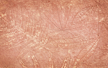 marks of leaf on the concrete background