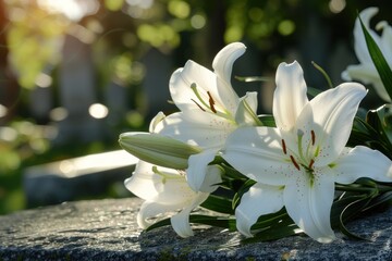 White Lilies on Polished Tombstone with Copy Space for Compassionate Message, Serene Remembrance © CHAWA GEN