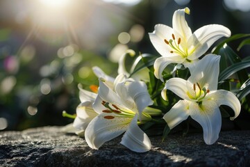 White Lilies on Polished Tombstone with Copy Space for Compassionate Message, Serene Remembrance