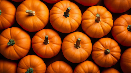 orange pumpkins Halloween season abstract background, top view