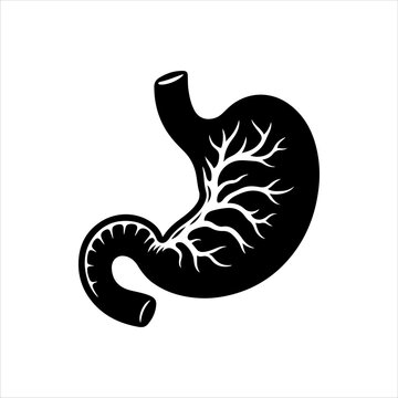 recommend clip art: Human stomach organ icon silhouette vector illustration design on white background.