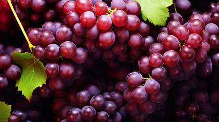 Fototapeta premium Clusters of fresh red grapes background, top view