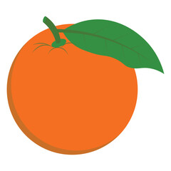 Orange Fruits Illustration
