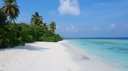 White sand meets crystal clear waters in a tranquil, private beach setting surrounded by lush greenery