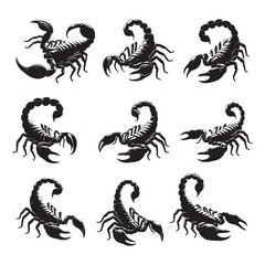 set of scorpions silhouettes	 on white
