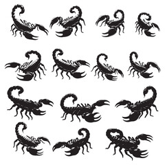 set of scorpions silhouettes	 on white