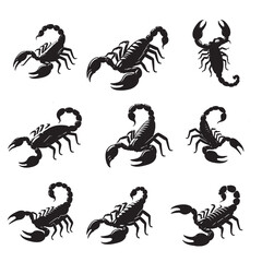 set of scorpions silhouettes	 on white
