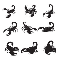 set of scorpions silhouettes	 on white