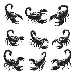 set of scorpions silhouettes	 on white