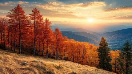 Autumnal Forest Landscape with Mountain Range and Sunset