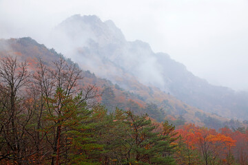 Landscape of Seoraksan national park in autumn,  South Korea.