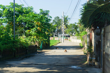 フィリピンの田舎道