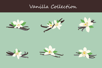 vanilla collection in different poses. Vector illustration.