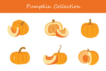 pumpkin collection in different poses. Vector illustration.
