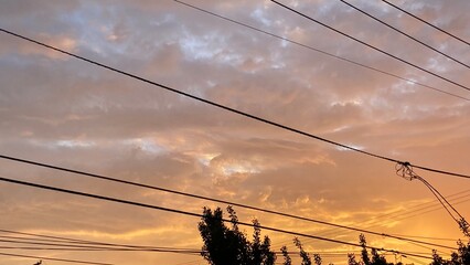 power lines at sunset in city
