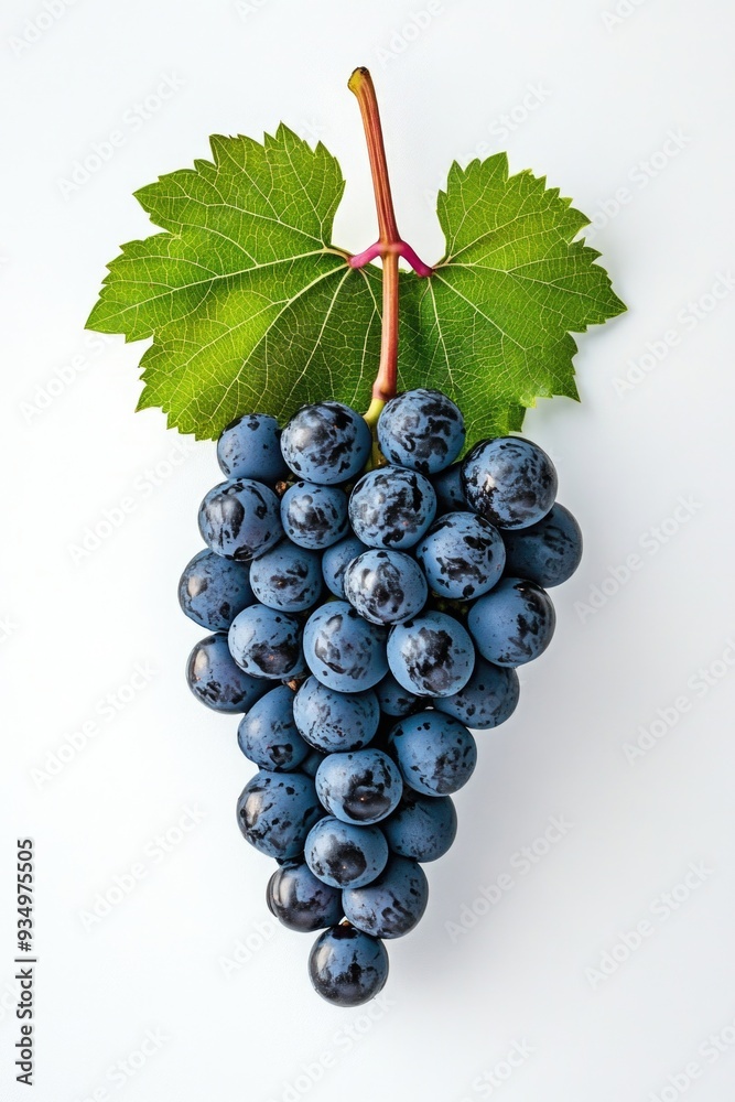 Poster close-up of grape bunch