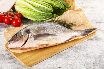 Raw dorada fish served rosemary