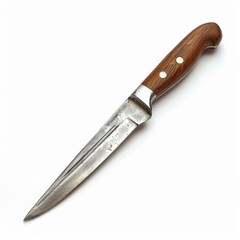 A sharp, stainless steel kitchen knife with a wooden handle.  The knife is isolated on a white background.
