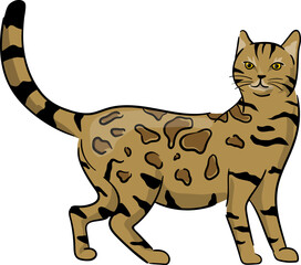 Illustration of a Bengal Cat