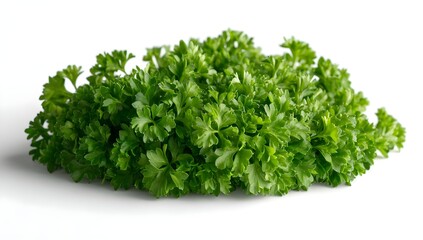 Fototapeta premium Fresh Green Parsley Isolated on White Background.