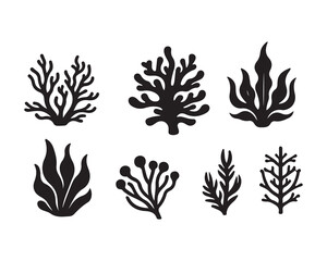 Fototapeta premium Set of sea corals and seaweed black silhouette. Aquarium plants, underwater ocean flora, algae. Vector illustration isolated on white background. ,Coral reef black silhouettes