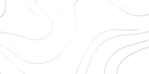 Abstract Topographic Contour Line Pattern. geographic contour map paper texture. terrain path isolated on a white.