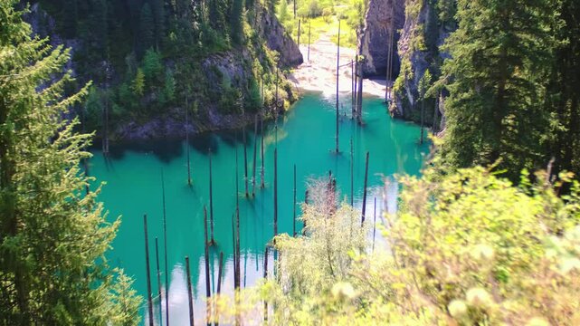 Sunken forest of Lake Kaindy in Kazakhstan. Beautiful mountain natural landscape. A blue lake with tree trunks sticking out of it. Panoramic view of the reserve.