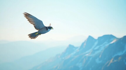A Falcon Soaring Over Majestic Mountains