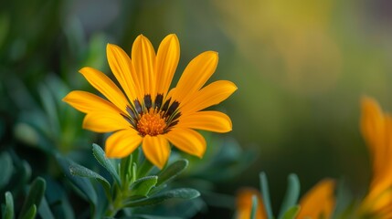 Obraz premium A tight shot of a yellow bloom against a backdrop of green foliage in the foreground, softly blurred background