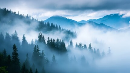  A forest-topped mountain, shrouded in fog, is densely populated by trees and cloaked in low-lying clouds