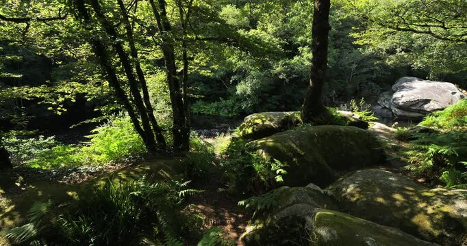 Roches du Diable, Querrien, Finistere department, Brittany, France