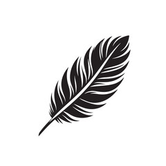Obraz premium Feather vector template