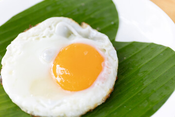 Crispy Fried Egg: Perfectly Cooked with a Golden Yolk, Served on a Plate with a Leaf Garnish for a Delicious Breakfast Art
