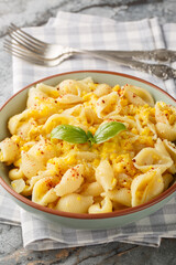Conchiglie pasta with creamy corn cheese closeup in the bowl on the table. Vertical