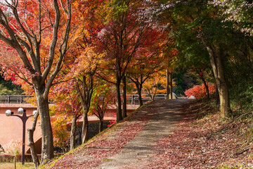 日本の風景・秋　群馬県安中市　紅葉の碓氷湖