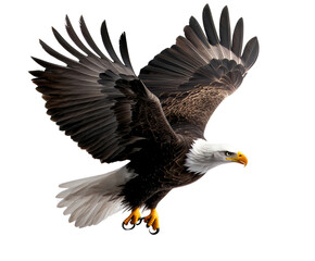Naklejka premium Majestic bald eagle with wings spread in mid-flight, symbolizing freedom and strength against a clear backdrop.